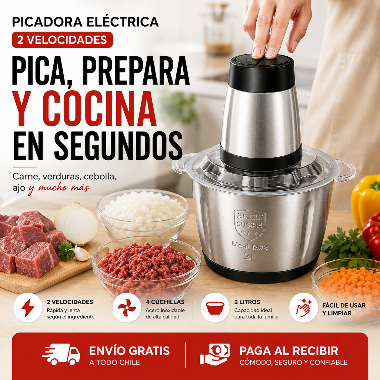 Picadora Electrica  Dos Velocidades